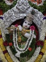 Shri Gurunatheshwar Gopalkrishna Temple, Chitrapur (4 Sep 2026); Picture Courtesy Shri Jnanesh Hattangadi Bhat and Shridatt Kodical